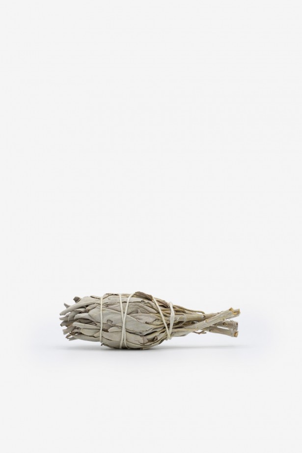 Wild White Sage (Small)